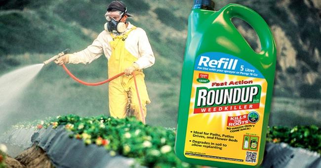 Bayer Ordered To Pay $80 Million After Losing Second Roundup Glyphosate Trial | Zero Hedge