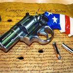 Defending Gun Rights Profile Picture