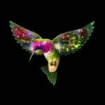 LittleBird2348 Profile Picture