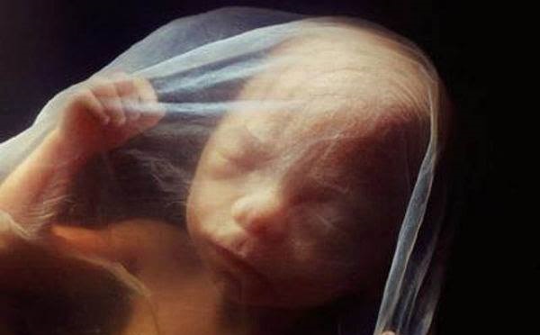 South Carolina Senate Approves Bill to Ban All Abortions, Declares Unborn Babies as People Under Law | LifeNews.com