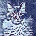 BlueyTheCat Profile Picture