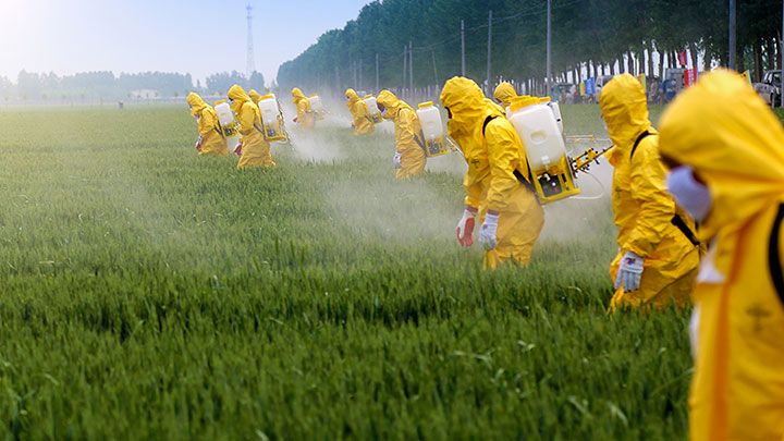 You are not gluten intolerant, you are glyphosate intolerant