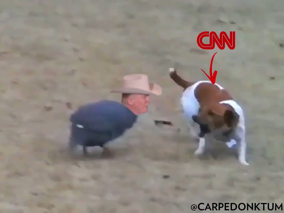 Carpe Donktum? on Twitter: "This is @CNN… "