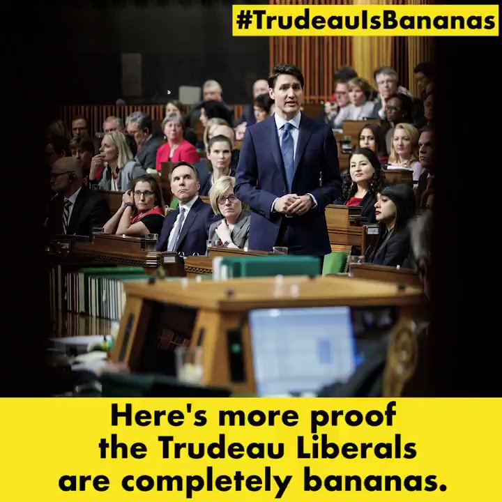 Canada Proud on Twitter: "Justin Trudeau is seriously bananas. Just look at all the evidence #TrudeauIsBananas… "