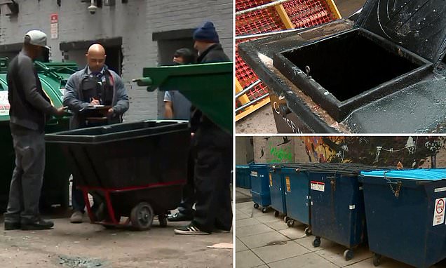 Chicago police investigating the possible discovery of FIVE human hearts found in a dumpster | Daily Mail Online