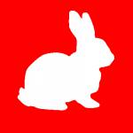 White Rabbit Profile Picture