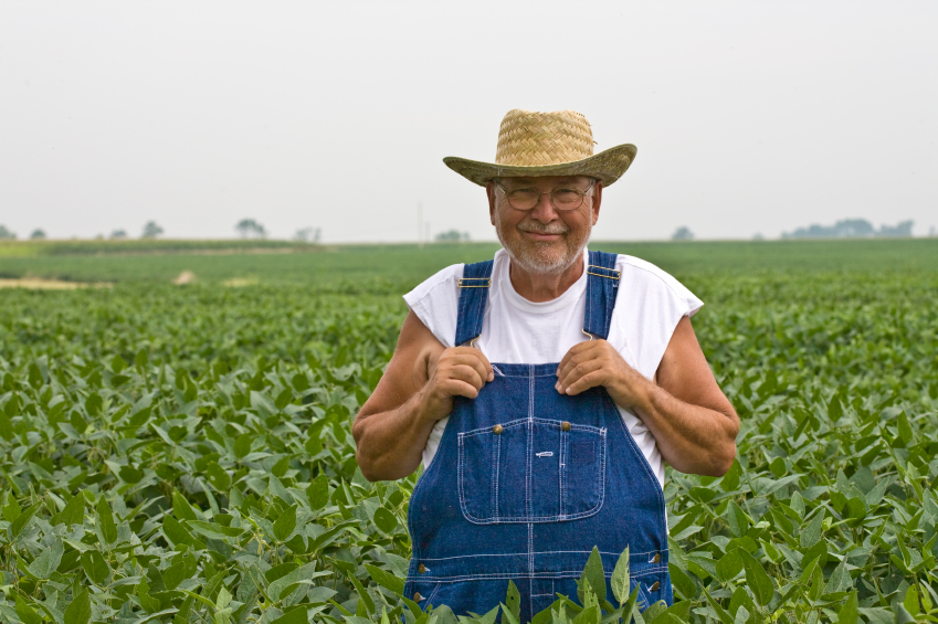 New bill would allow farmers to sue Monsanto if GMO crops invade their property