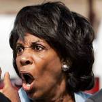Americans Against Maxine Waters Profile Picture