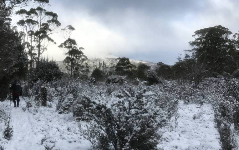 Tasmania's Record Breaking Cold and Dry June - Grand Minima Intensification - Electroverse