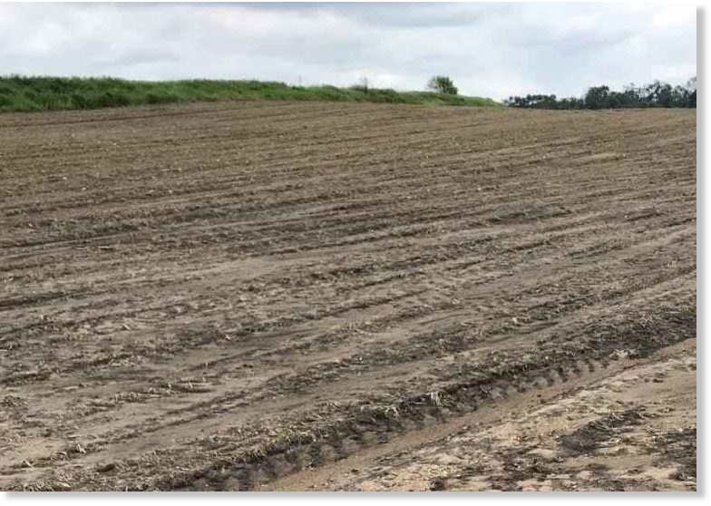 Hailstorm damaged thousands of acres of Minnesota crops -- Earth Changes -- Sott.net