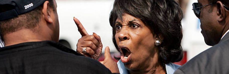 Americans Against Maxine Waters Cover Image