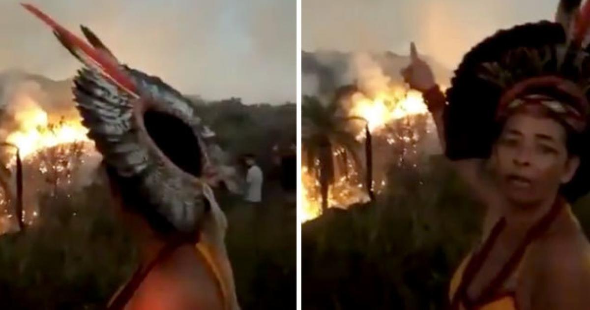 The Amazon Is Deliberately Being Set On Fire Says Indigenous Woman | Disclose.tv