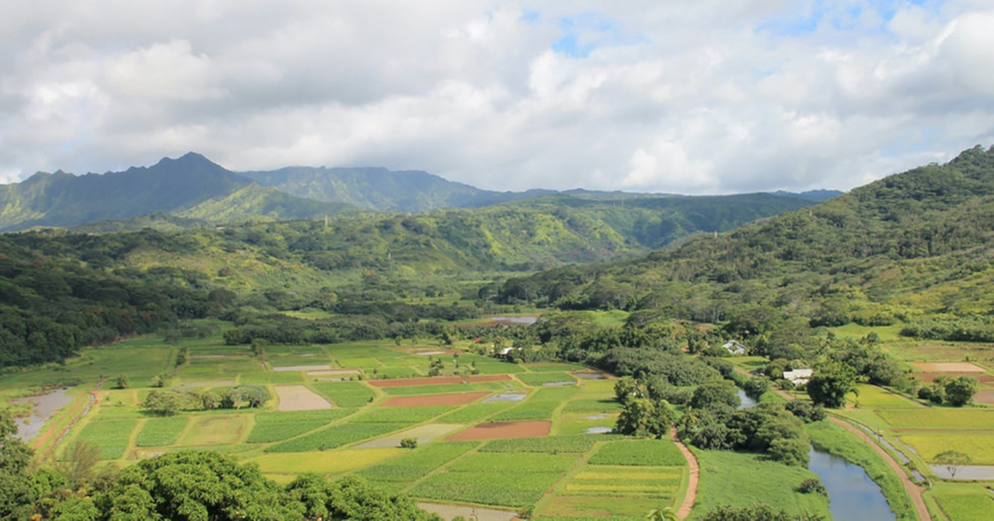 Hawaii Becomes First State in the U.S. to Ban the Toxic Pesticide Chlorpyrifos - EcoWatch
