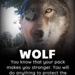 Wolf Spirit Profile Picture