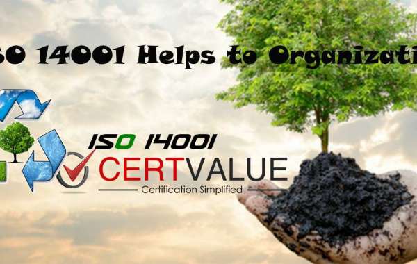 How a food Industry can benefit from ISO 14001 Certification in Chennai?