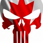Q Team Canada Profile Picture