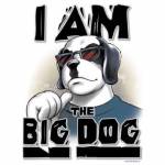 Mr.Bigdog Hernandez Profile Picture