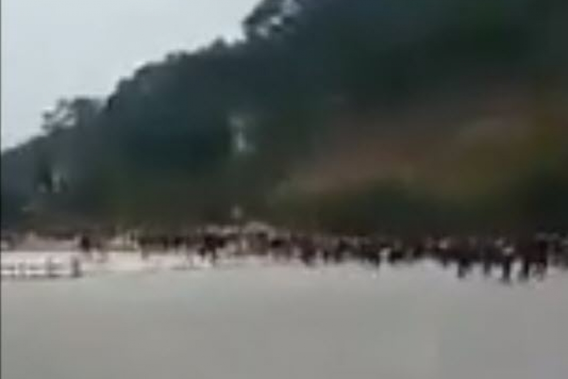 Hal Turner Radio Show - VIDEO: Tens-of-Thousands (Likely Infected by Virus) FLEEING CHINA across unguarded Vietnam Border