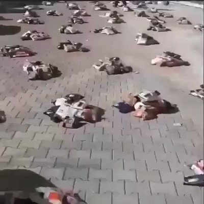 QT@Anon ??? on Twitter: "The Turkish people are leaving food parcels on the street for people who can’t afford to eat during these hard times!!Well done Turkey???? https://t.co/GzXMTmVjEY"