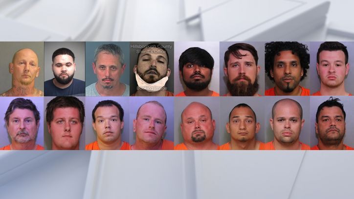 Sheriff: Polk detectives arrest 16 people in undercover sting targeting child predators | FOX 13 Tampa Bay