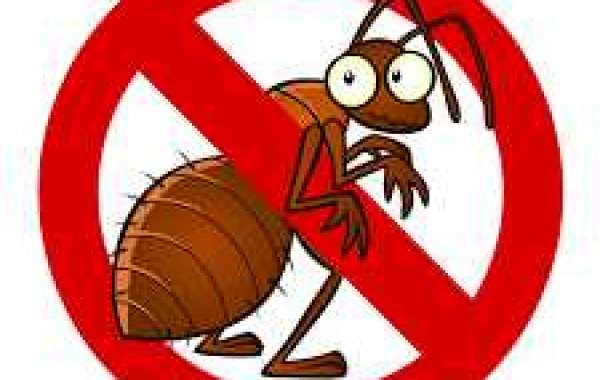 Pest Control - Cockroaches in Commercial Facilities