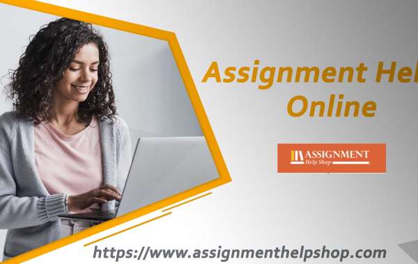 Why not take assignment help online from excellent experts and fly high?