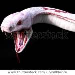 Serpent 0-1 Profile Picture
