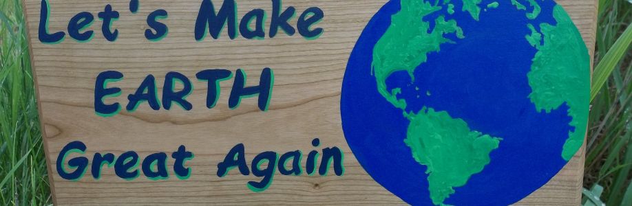 Freedom Board Cover Image