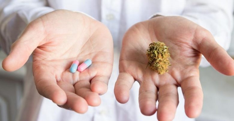 Doctors Prescribe Certain Opioids 20% Less in Medical Marijuana States, Study Finds – Health 4 Everyday