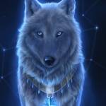 Blue Wolf Profile Picture