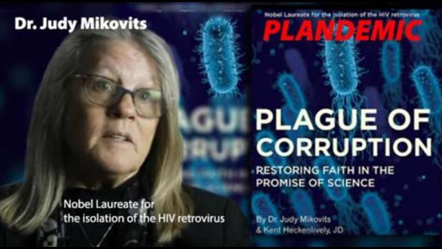 PLANDEMIC, A FILM ABOUT THE GLOBAL PLAN TO TAKE CONTROL OF OUR LIVES, LIBERTY, HEALTH & FREEDOM.