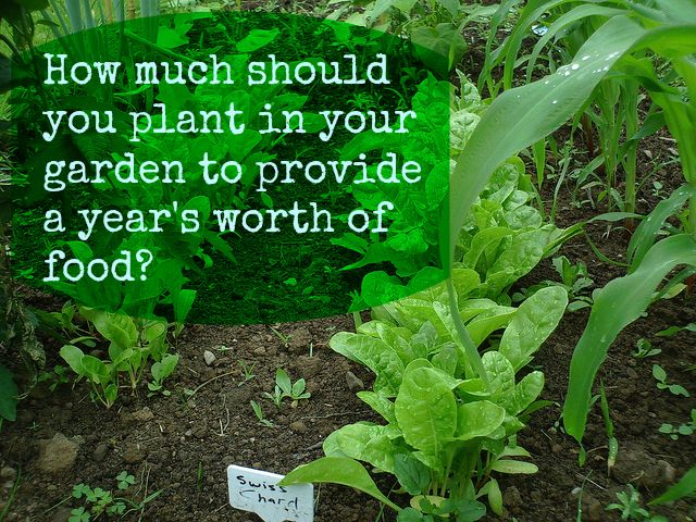 Complete List Of How Many Plants Needed To Grow A Year’s Supply Of Food - Prepare For Change
