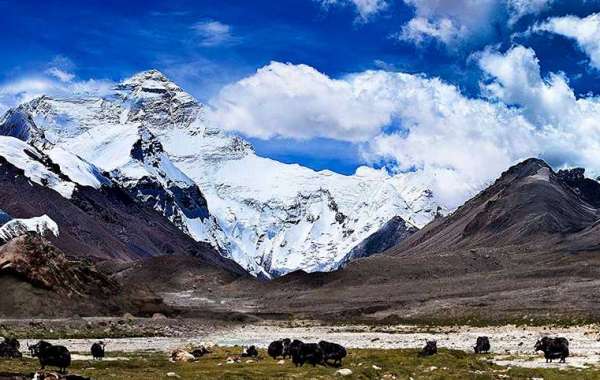 Reason to go for Tibet