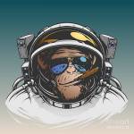 Space Monkey Profile Picture