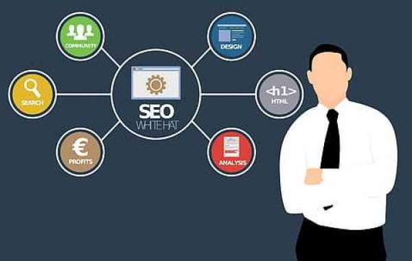 Best SEO Consultant in Chandigarh