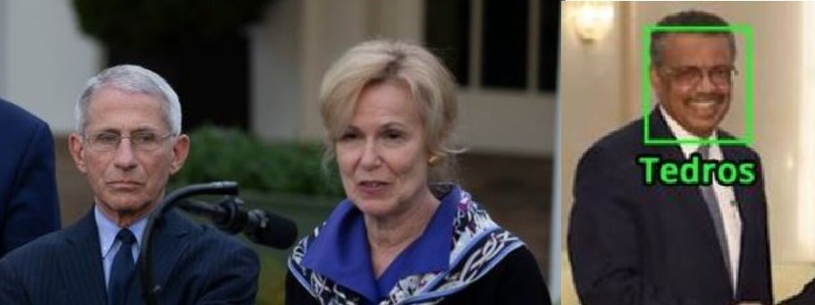 SORRY AMERICA - Those Catastrophic Mortality Rates Sold to Us by the WHO, Dr. Fauci and Dr. Birx Were a Huge Scam