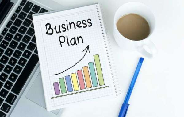 What is a business plan and what are its types?