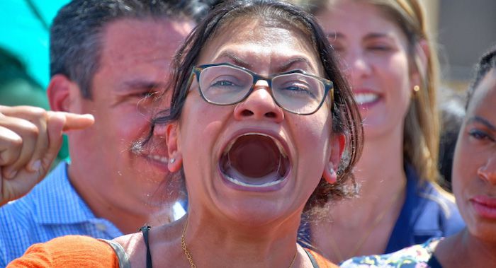 Rashida Tlaib Warns Feds Will Have to Arrest Her If They Set Foot in Detroit - News Punch