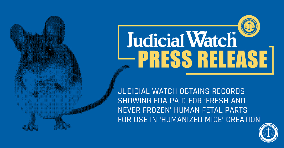 Judicial Watch Obtains Records Showing FDA Paid for ‘Fresh and Never Frozen’ Human Fetal Parts for Use In ‘Humanized Mice’ Creation | Judicial Watch