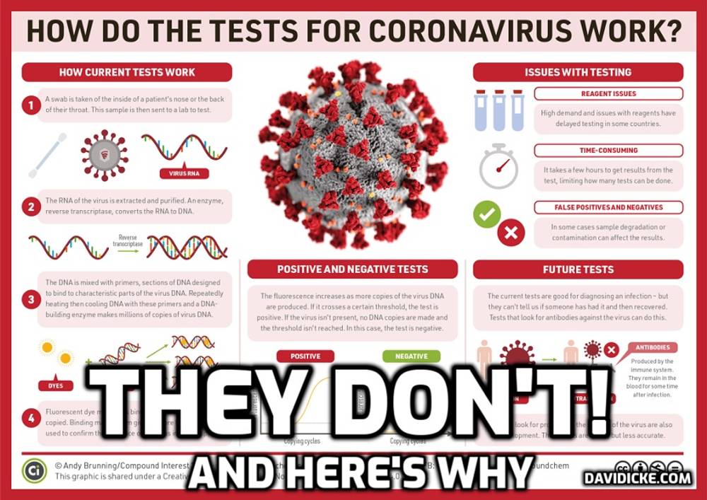 BIG STORY - PLEASE SHARE: PCR test that is producing the 'virus cases' triggering the new lockdowns worldwide is testing for genetic codes that every human has and NOT THE 'VIRUS' - David Icke talks with Dr Andrew Kaufman about the astonishing hoax transforming human society