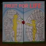 Fruitforlife Profile Picture