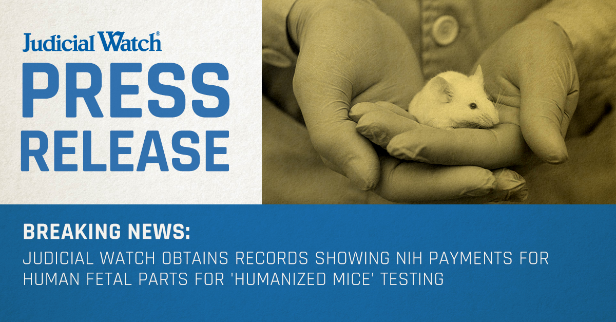 Judicial Watch Obtains Records Detailing NIH Purchases of Aborted Fetal Parts for ‘Humanized Mice’ Testing | Judicial Watch