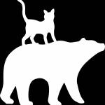 catbear Profile Picture