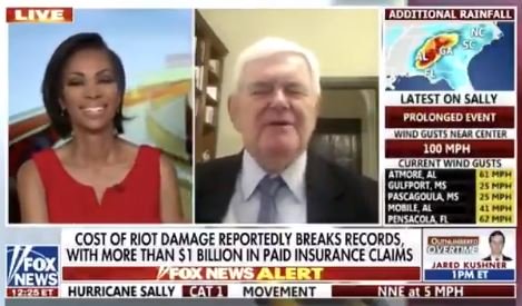 FOX News Panel Melts Down After Newt Gingrich Correctly Calls Out Lawless Soros-Funded District Attorneys (VIDEO)