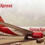 SpiceXpress Cargo Services Profile Picture