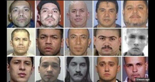 A BUNCH Disgusting Illegal Aliens ARRESTED By Feds After Discovering Filthy Things They Were Doing