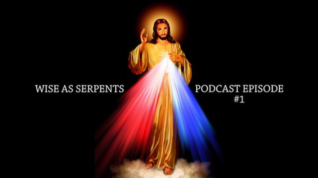 WISE AS SERPENTS - Podcast #1