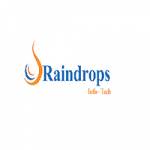 Raindrops Infotech Profile Picture