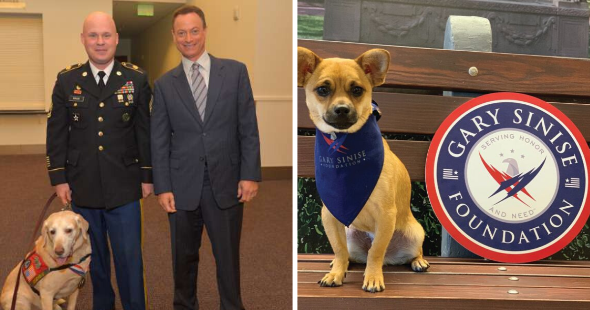 Actor Gary Sinise Expands His Veterans Advocacy To Help K-9 Heroes Too