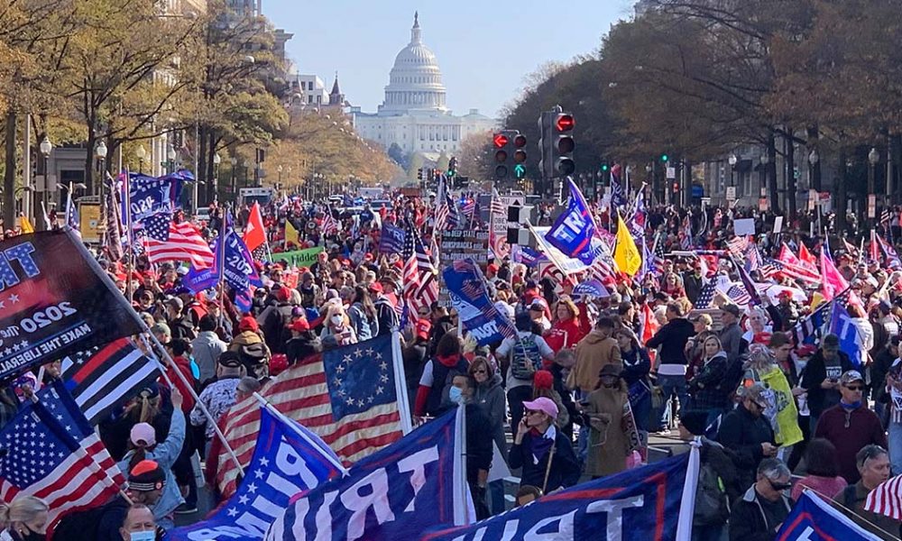 Stop the Steal! Thousands of Trump Supporters Gather and March in D.C. ⋆ 10ztalk viral news aggregator